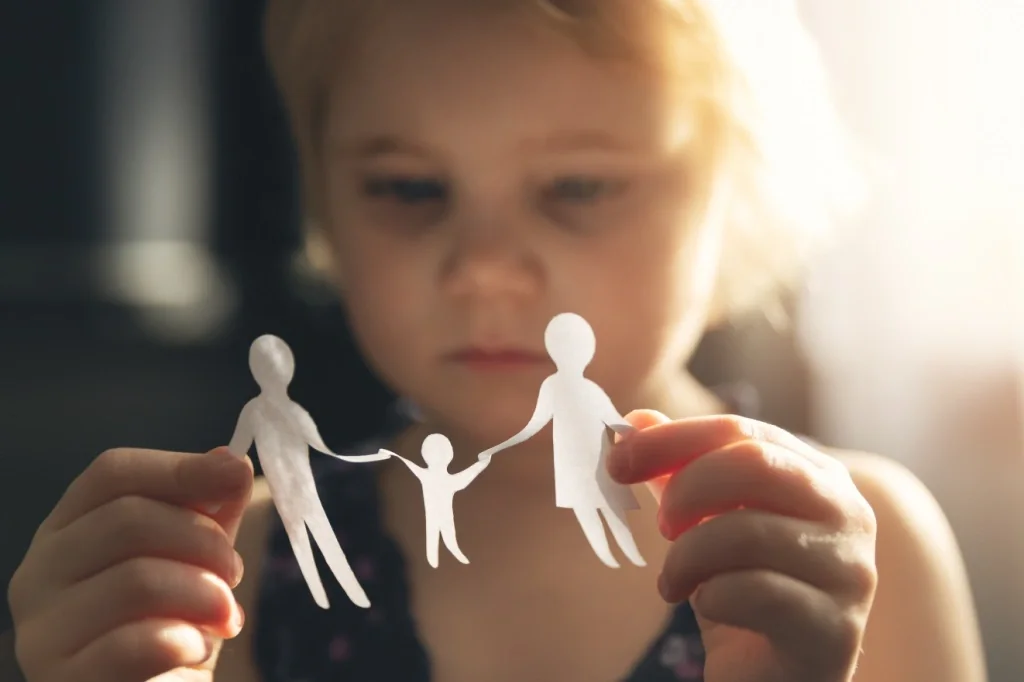 Curso Direito De Família - Alienação Parental, Guarda Compartilhada E Alimentos Gravídicos